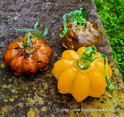 Citrouilles Cyril-John Rousseau 2024