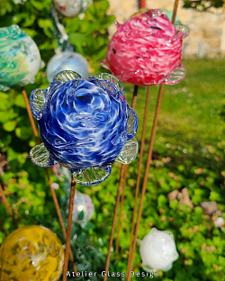Une rose dans le jardin !
