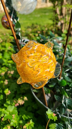 Rose ambre et blanc en verre soufflé chez Cyril-John Rousseau