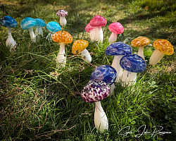 Champignons en verre soufflé